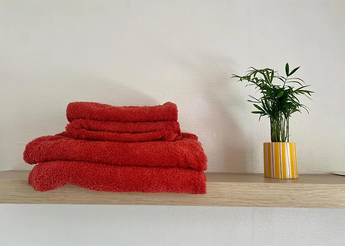 Appartement L'écrin Du Général Armentières